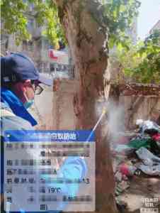 2026年镇江桥梁码头白蚁防治服务方案推荐解析