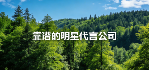 2026年石家庄明星品牌代言机构推荐:专业经纪服务助力企业品牌升级