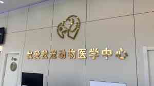 2026年威海宠物体外碎石治疗机构解析