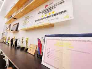 2026年上海宠物护理师职业技能等级认定培训优选,兜沃职培系统化教学赋能职业成长