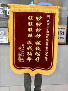 2026年长沙宠物血透医院推荐:瑞派仁才24小时急重症转诊中心详解