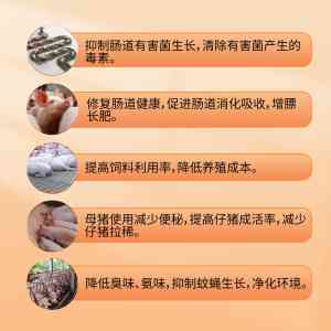 2026年生物发酵菌剂实力厂家推荐,超级菌王技术解析