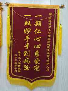 2026年深圳宠物眼科护理优选,特色专科诊疗技术解析