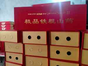 2026年河南食品纸箱定制厂家推荐：郑州龙汇包装设计