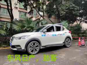 2026年重庆司机陪驾服务推荐:新手实战陪练方案解析