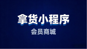 2026 商城小程序平台对比:积分系统完善度大揭秘