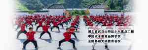 2026年湖北特长生高考武术学校推荐:武当山玄岳功夫武校文武兼修升学解析