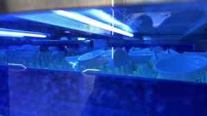 2026年自动洗碗流水线厂家推荐：专注餐具清洗消毒设备