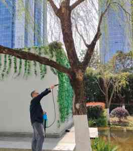 2026年重庆除虱公司推荐:专业灭虱防治服务解析
