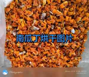 2026年红薯烘干机厂家推荐:开封新平源头实力与技术解析