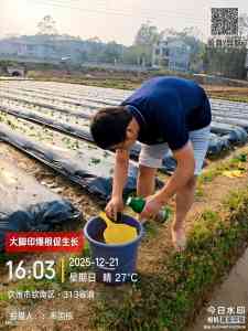 2026年大脚印移栽生根剂源头厂家解析,专注作物根系健康