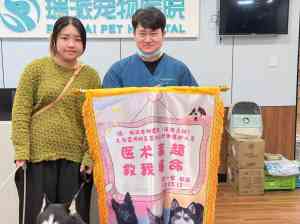 2026年深圳宠物内科推荐:瑞派佰佳专科门诊深度解析