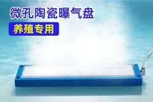 2026年养殖陶瓷曝气盘厂家推荐,昆山品虹环保科技源头供货