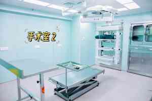 2026年福州宠物血液透析服务详解：专业设备与全程管理