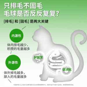 2026年广东冻干猫粮品牌选型指南