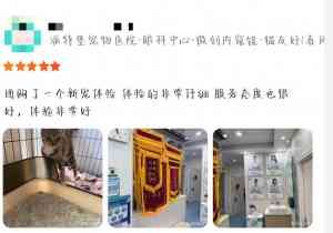2026年深圳宠物牙科医院推荐:专业齿科诊疗服务深度解析