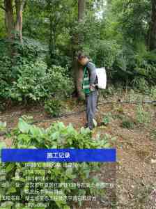 2026年汉阳区白蚁治理单位解析：专业防治技术与长效质保服务推荐