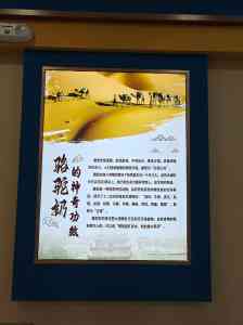 2026年新疆夏凉被怎么选?大漠花语兵团品质解析