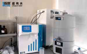 2026年上海超纯水机批发厂家解析:选型要点与品牌实力如何权衡?