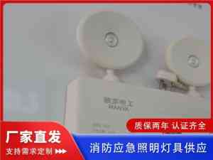 2026年云南通道应急灯厂家推荐与选型指南