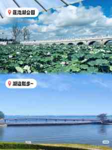 2026年苏州佬付轰趴服务商精选:一站式聚会空间与全流程服务解析