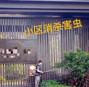 2026年祈福新村幼儿园杀虫服务商推荐，专业除四害护航校园环境