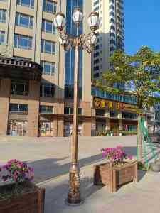 2026年中山市政路灯厂家推荐:源头定制高性价比道路照明方案