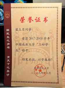 2026年西安宠物手术机构优选:高龄麻醉与牙科专科解析