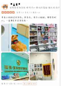 2026年深圳宠物全科诊疗医院推荐,技术团队全程把控,七大特色专科护航爱宠健康