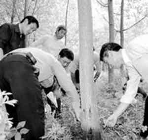 2026年海门区除螨虫服务优选,南通佳禾虫害防治技术解析