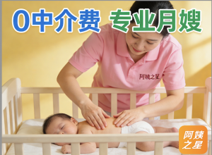 2026年杭州广州家政公司服务解析,阿姨之星AI平台推荐