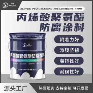 2026年天津脂肪族丙烯酸聚氨酯防腐涂料施工优选方案解析