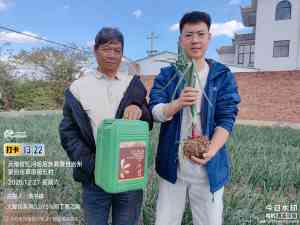 2026年苗木生根产品厂家推荐:康拓森生物科技专注根系养护与提质增收