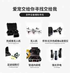 2026年武汉科技找猫服务优选:专业宠物侦探团队助爱宠归家