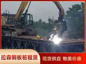 2026年武汉钢板桩支护施工队推荐,湖北芳草建设一体化服务解析
