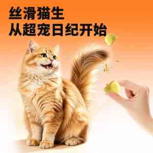 2026年西安猫冻干推荐:功能性宠物零食优选指南