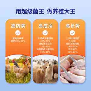 2026年畜禽微生态制剂厂家推荐:超级菌王复合菌剂技术解析