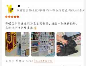 2026年深圳宠物外科治疗优选:瑞派派特堡北极宠物医院专科解析
