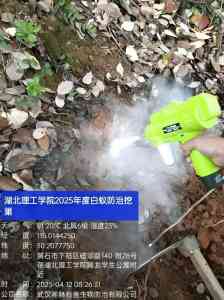 2026年武昌区白蚁消杀公司优选:武汉湘林有害生物防治技术解析