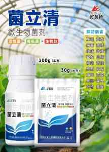 2026年植物真菌净厂家怎么选?河南专注型源头企业解析
