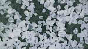2026年超快固化低温型TPU粉制造厂推荐，深圳唯信新材料厂家解析