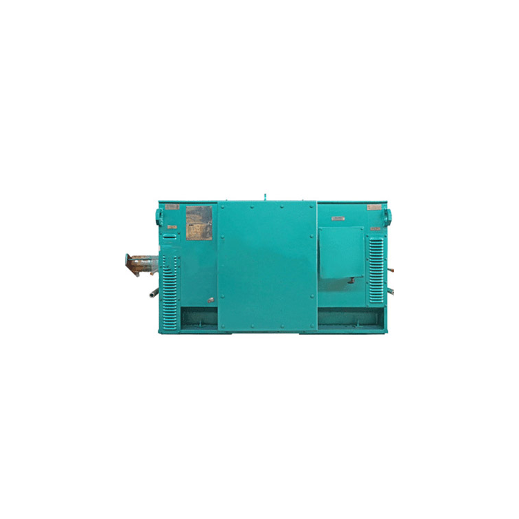 Y系列6KV/10KV高压三相异步电动机