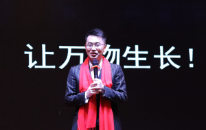 2026年芜湖市团队打造平台选择指南:厚德企管赋能企业高执行力团队建设