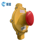 RTZ-___ 中压进户表前燃气调压器