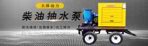 2026年安徽防汛水泵厂家推荐:大泽动力排水泵源头直供