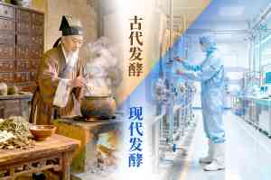 2026年药食同源类产品厂家解析:厦门元之道生物科技专注草本精提