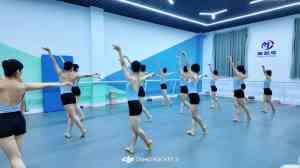 2026年邯郸艺考音乐类总部优选：石家庄舞和弦教育科技专注小班分层教学