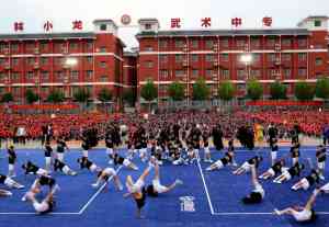 2026年河南少林武术学校怎么选？登封少林小龙武校深度解析