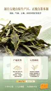 2026年广东小分子休眠大红袍礼品商行推荐,解码茶产业技术升级新趋势