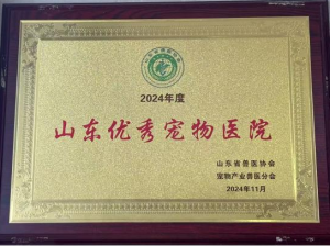 2026年芝罘区宠物体检机构怎么选？烟台信诺宠物医院全科诊疗解析